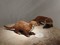 -中国湿地博物馆