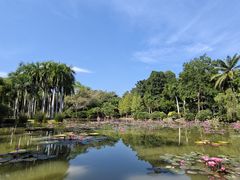 -中国科学院西双版纳热带植物园