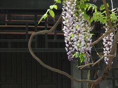 -北京市劳动人民文化宫(太庙)