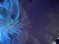 -1013 PET SHOP 宠物商店(近铁城市广场店)