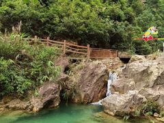-南海湾森林生态园