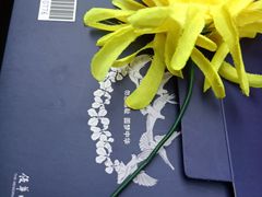 -侵华日军南京大屠杀遇难同胞纪念馆