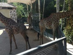 -泉州海丝野生动物世界