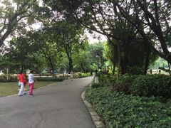 -晓港公园