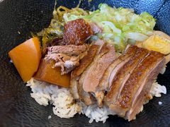 -MR鹅外