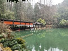 -灵栖洞天