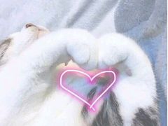 -Bread618面包生日蛋糕(欧亚商都店)