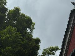 -MAP CHA普洱茶馆(翠湖店)