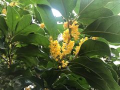 -南京市无想山景区