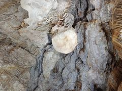 -兴隆溶洞