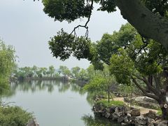 -无锡蠡湖国家湿地公园-蠡园