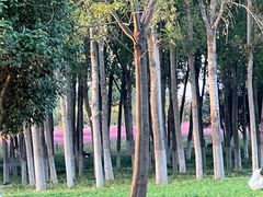 -汉长安城未央宫国家考古遗址公园