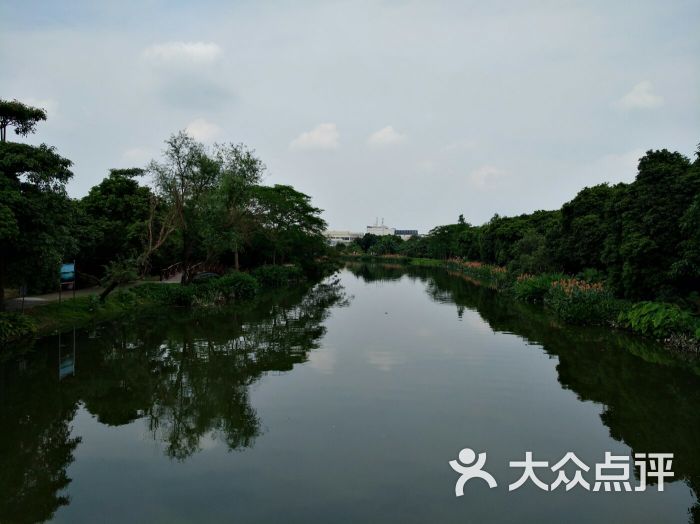 上涌果树公园-图片-广州周边游-大众点评网