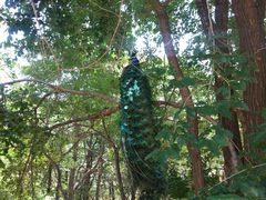 -燕塞湖鸟语林景区