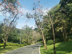 -云溪植物园