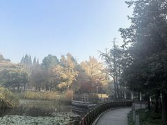 -青岛海滨风景区
