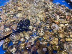 -川骄海鲜自助(河东店)