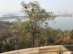 -东湖磨山景区
