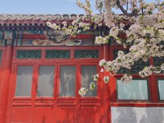 -海棠花溪(元大都城垣遗址公园)