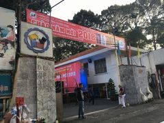 -金龙水上木偶剧院