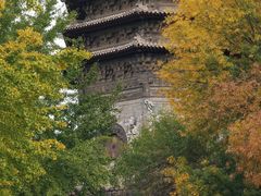 -玲珑塔公园