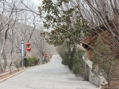 -青檀寺景区