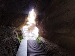 -黎坪国家森林公园