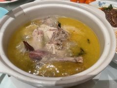 石耳炖肥西老母鸡汤-同庆楼(大钟寺店)