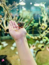 -Zoolung Zoolung动物主题公园(海信广场店)