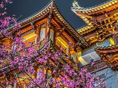 -大佛寺高级素食自助餐厅