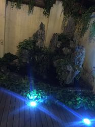 点击看大图 -素颜秀·纹眉·野生眉·纹唇半永久