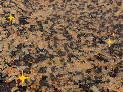 -春熙台韩国料理·章鱼肥牛(西丽店)