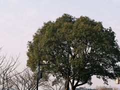 -东钱湖旅游度假区