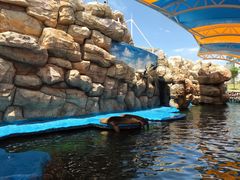 -华夏文旅海洋公园