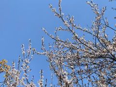 -白云山索道-售票处