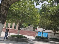 -铁山坪森林公园