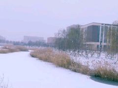 -华北理工大学(曹妃甸校区)
