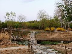 -马家湾湿地公园