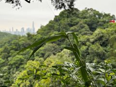 -广州市白云山风景名胜区
