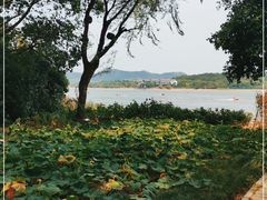 -天目湖山水园