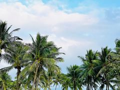 -海南清水湾莱佛士酒店