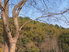 -穹窿山景区