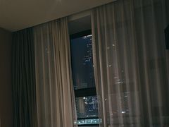 -深圳湾科技园丽雅查尔顿酒店