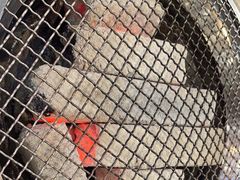 -瑞杰烧烤店·24小时营业(山东路店)