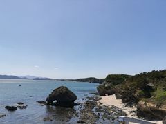景点刺猬觅食+螃蟹出洞-大连金石滩滨海国家地质公园