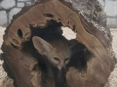 -海合安武汉极地海洋公园