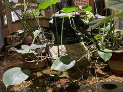 -邈墨茶馆(凤起路店)