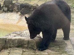 -黔灵山公园-南门售票处