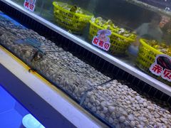 -聚盛源蒸汽海鲜火锅烤肉自助(巨川金海岸购物广场店)