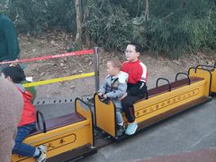 -枫香湖儿童公园